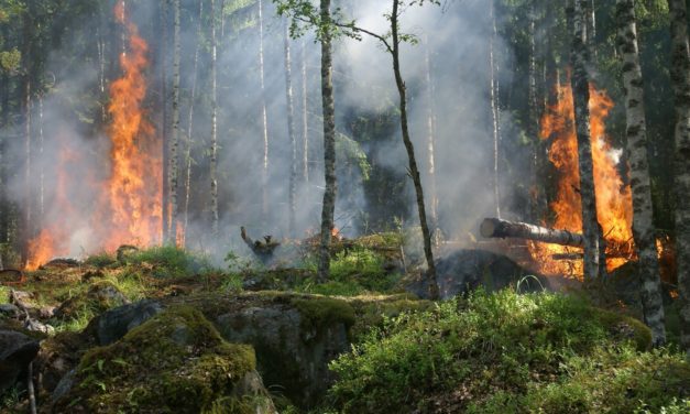 BEST AC AND FURNACE FILTERS FOR WILDFIRE SMOKE